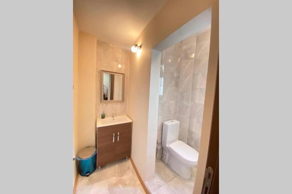 Duplex Suite Sultanahmet 伊斯坦布尔 外观 照片
