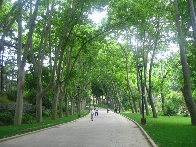Duplex Suite Sultanahmet 伊斯坦布尔 外观 照片